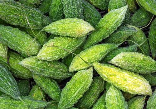 吃毛瓜能变白吗