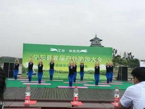 吃瓜协会宁阳,揭秘瓜界风云，品味生活百态