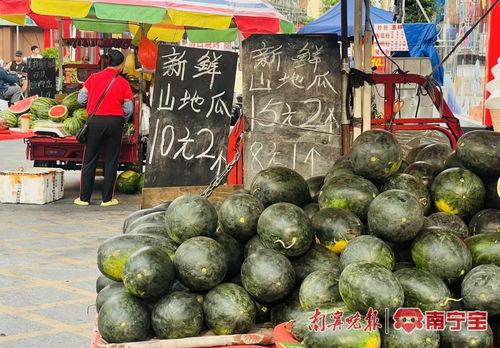 南宁吃瓜群众免费吃瓜,免费吃瓜活动引全民热议