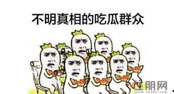 南宁吃瓜群众免费吃瓜,免费吃瓜活动引全民热议