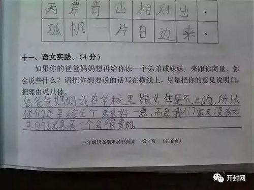 做试卷解锁吃瓜,揭秘做试卷背后的趣味与智慧