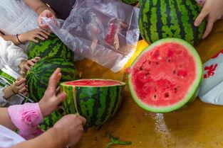 河北吃瓜视频,揭秘当地美食文化盛宴