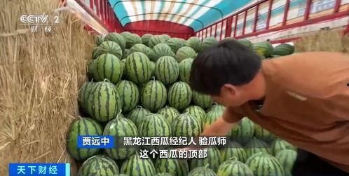 吃瓜磁县,吃瓜群众的视角看磁县发展变迁