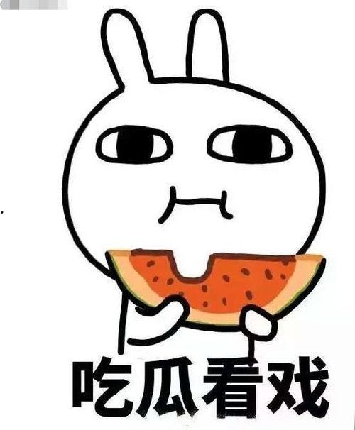 推荐的吃瓜群,带你领略网络八卦的魅力