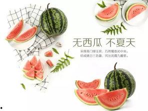 吃瓜夏天活动