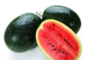 澳洲magic man吃瓜,揭秘网络红人的争议瞬间