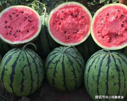 那些吃瓜的网站,揭秘热门事件背后的网络舆论场