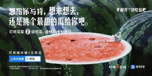 吃瓜吃自己身上的文案,吃瓜吃自己，笑谈人生百态