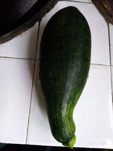 蓝瓜可以怎么吃,创意吃法大盘点