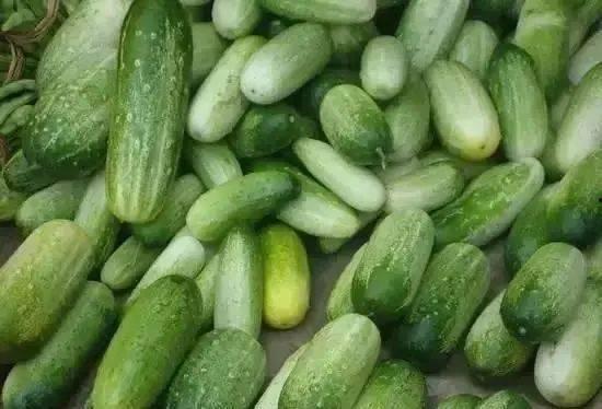 理性吃瓜云南,探寻云南美食背后的文化底蕴