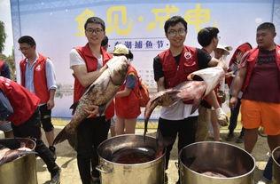 外卖体育学院吃瓜,吃瓜群众揭秘校园美食风云