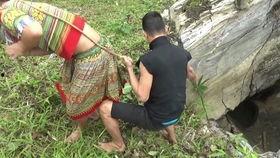 梦见去地里摘瓜吃瓜,摘瓜吃瓜的田园幻想之旅