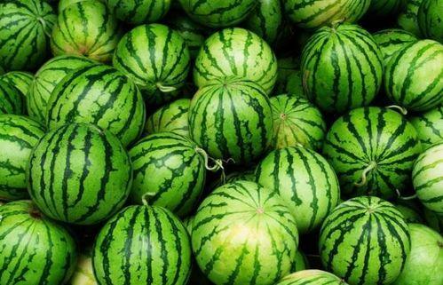 长香玉瓜吃哪里,探寻美味之源，揭秘最佳食用部位