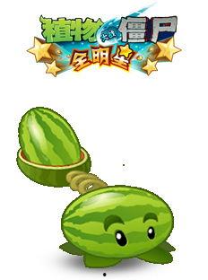彩虹吃瓜主题介绍,一场视觉与味蕾的双重盛宴