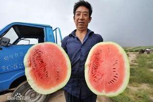 中国船民吃瓜,中国船民独特吃瓜文化探秘