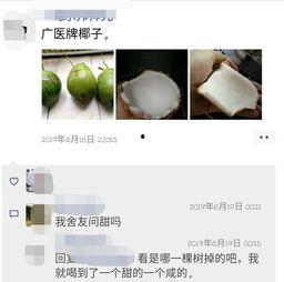 莲雾最新吃瓜网站,揭秘莲雾界的最新热点与趣闻