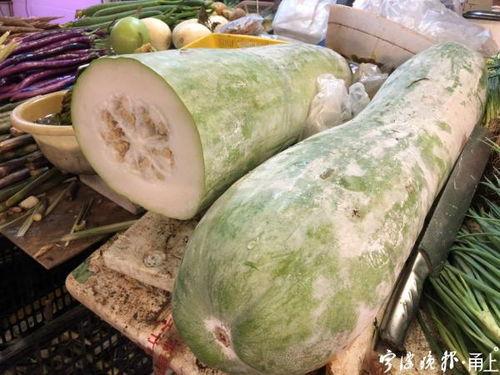 瓢瓜减肥可以吃吗,健康饮食新选择，可食用减肥瓜果揭秘