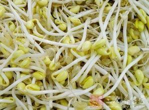 吃大面瓜减肥吗,揭秘天然低卡美食的瘦身秘密