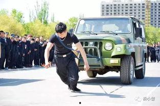 吃瓜警校,揭秘校园里的神秘警花与热血青春