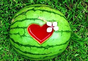 解梦满朝吃瓜,满朝吃瓜背后的神秘寓意