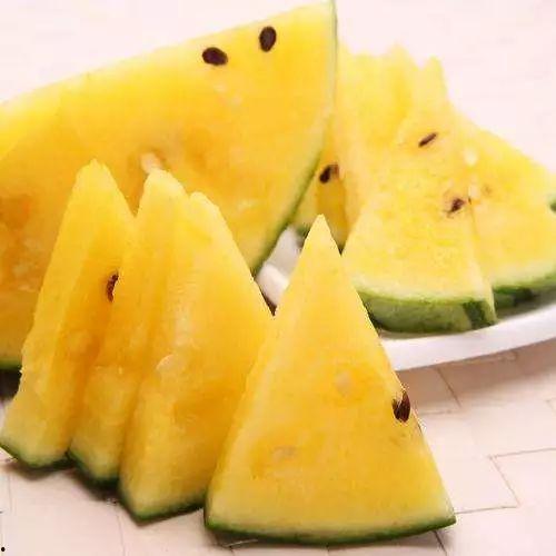 最有才的吃瓜视频,揭秘吃瓜视频背后的精彩故事