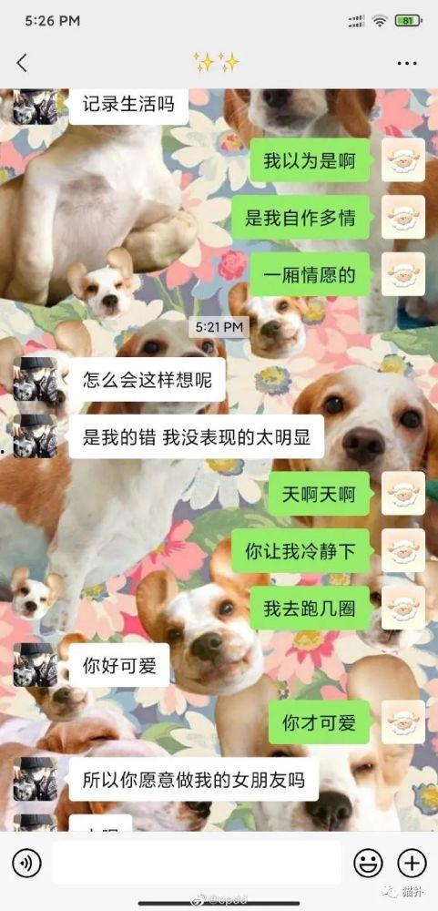吃瓜变成吃狗粮,娱乐圈甜蜜与苦涩的变迁