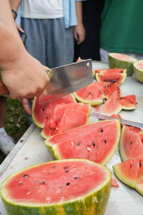 假日吃瓜,轻松解锁快乐假期新姿势