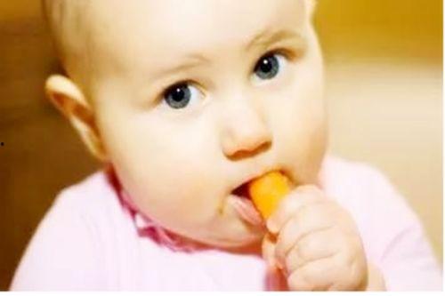 婴儿吃小白瓜,小白瓜营养美味，助力宝宝健康成长