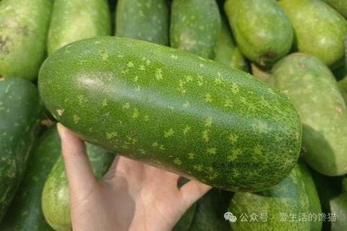 春天常吃的瓜,盘点春季时令瓜果盛宴