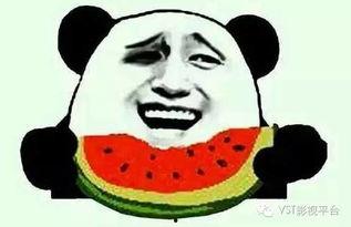 吃瓜故事事件,揭秘吃瓜故事背后的真相与笑料