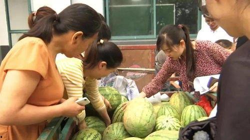 隔壁村吃瓜群众,揭秘邻村那些事儿