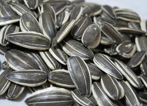 吃瓜和吃瓜子图片对比,视觉对比下的美味诱惑