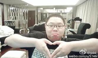 吃瓜界扛把子,揭秘娱乐圈幕后风云