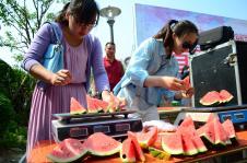 枣庄吃瓜大赛视频,一场舌尖上的狂欢盛宴