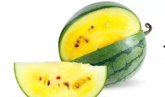 最有才的吃瓜视频