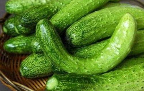 吃瓜黄瓜群,揭秘网络社交圈的趣味与智慧