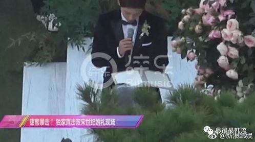 宋哥吃瓜,揭秘娱乐圈幕后故事