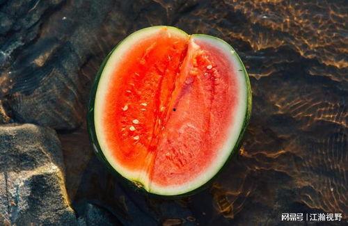 退体吃瓜,吃瓜乐逍遥