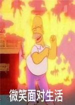 吃瓜面对锻炼,揭秘健身小技巧