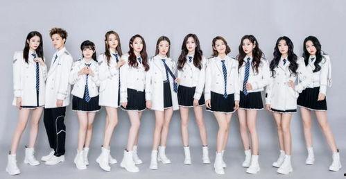 每日吃瓜火箭少女101,每日吃瓜，揭秘青春偶像成长之路