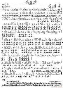 乐谱吃瓜,一场别开生面的音乐与美食之旅