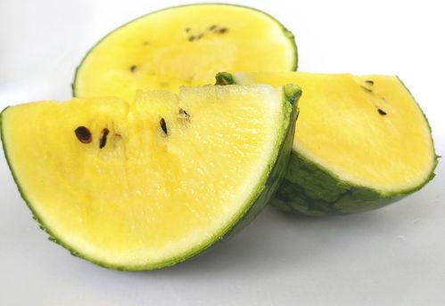 gk胖胖吃瓜,揭秘娱乐圈那些不为人知的幕后故事