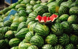 gk胖胖吃瓜,揭秘娱乐圈那些不为人知的幕后故事