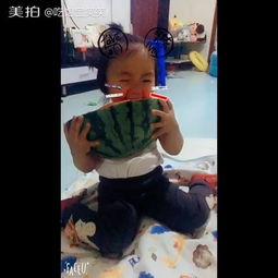 吃瓜娃视频,揭秘娱乐圈幕后故事