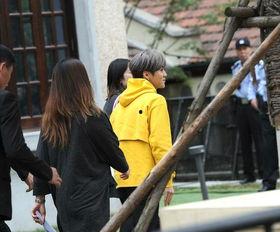 小黄小黄吃瓜群众,吃瓜群众的趣味生活