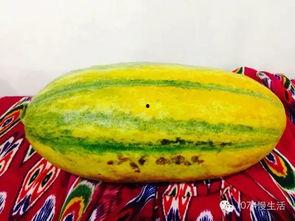 听哈密瓜吃哈密瓜,听与食的双重体验