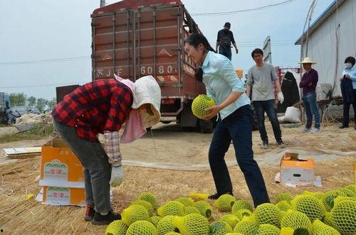 吃瓜群众前来围观