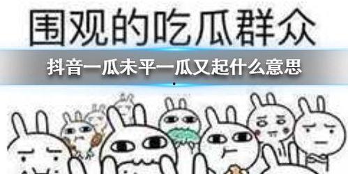 抖音吃瓜盟主,揭秘网红圈幕后故事