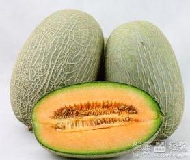 条条吃哈密瓜,探寻新疆甜蜜果实的魅力之旅