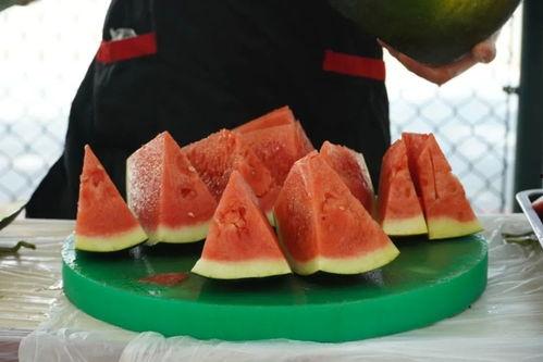 吃学校里面的瓜,揭秘校园里的那些秘密与传闻